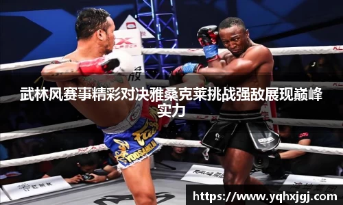 武林风赛事精彩对决雅桑克莱挑战强敌展现巅峰实力